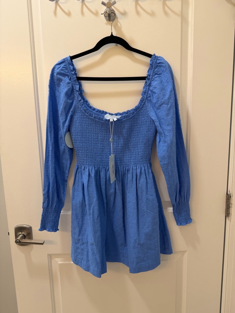 Blue Smocked Long Sleeve Mini Dress